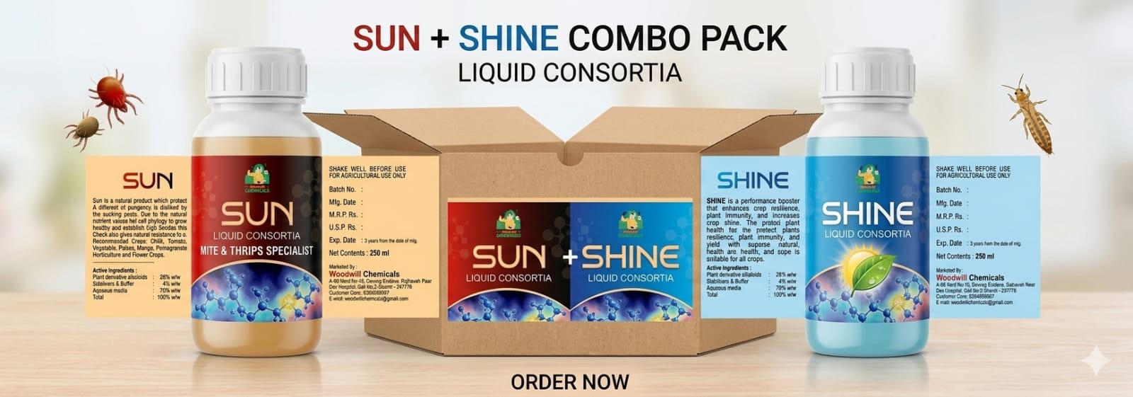 Sun Shine Combo